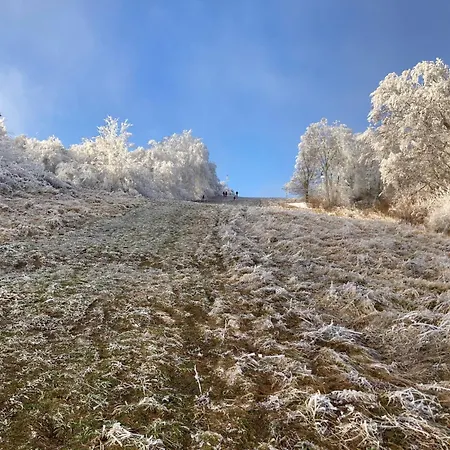 Na Bezovci Dağ evi *